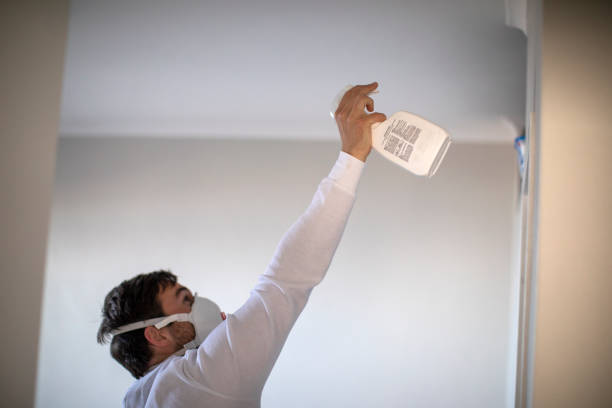 Best Mold Cleaning Services  in Bolinas, CA