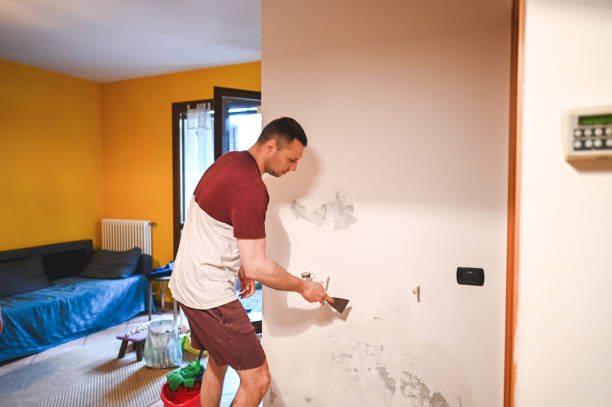 Best Commercial Mold Removal  in Bolinas, CA
